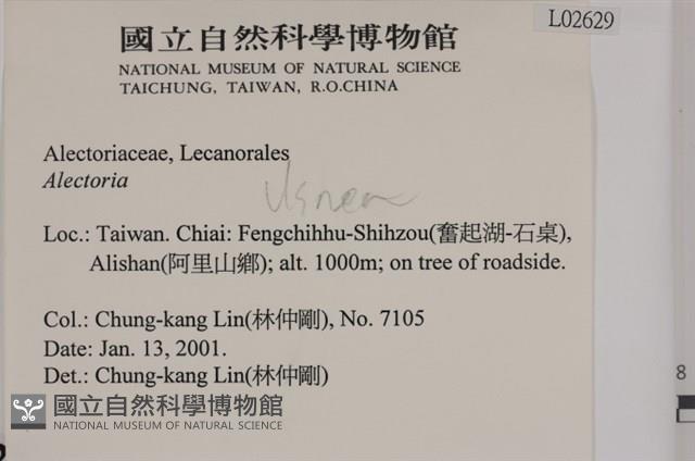 登錄號:L00002629藏品圖，第2張