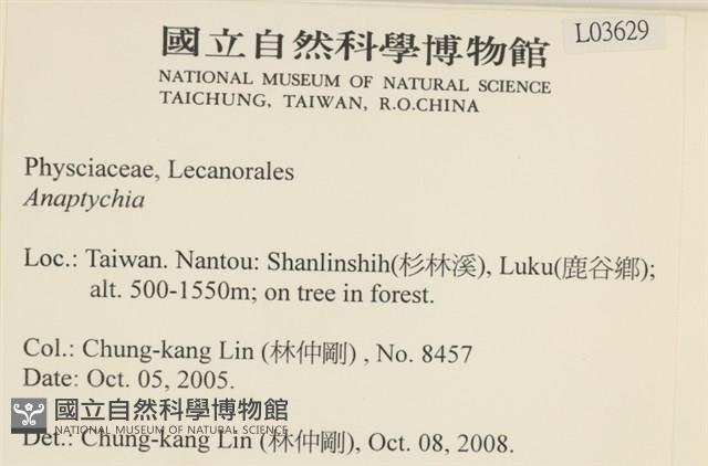 登錄號:L00003629藏品圖，第2張