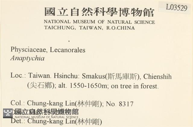 登錄號:L00003529藏品圖，第2張