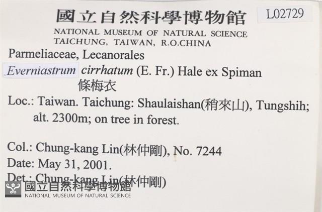 登錄號:L00002729藏品圖，第2張