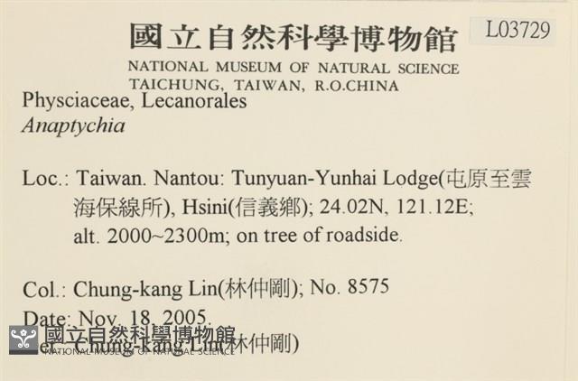 登錄號:L00003729藏品圖，第2張