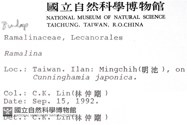 登錄號:L00000579藏品圖，第2張