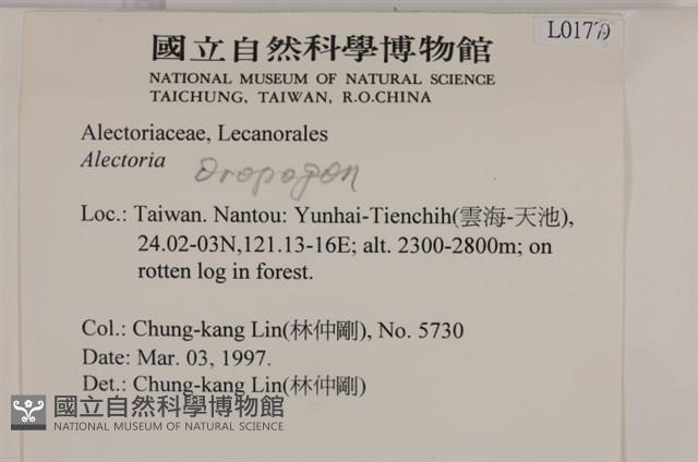 登錄號:L00001779藏品圖，第2張