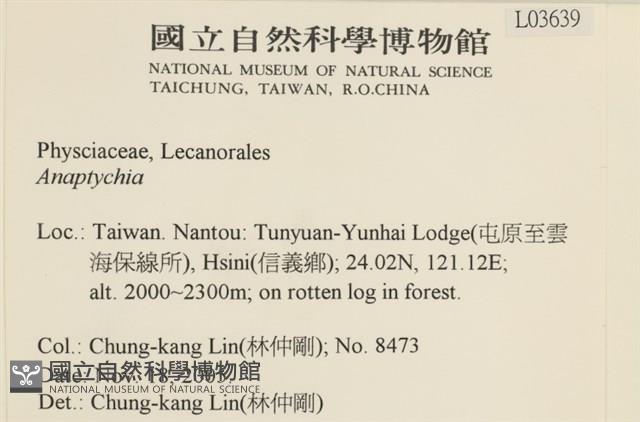 登錄號:L00003639藏品圖，第2張
