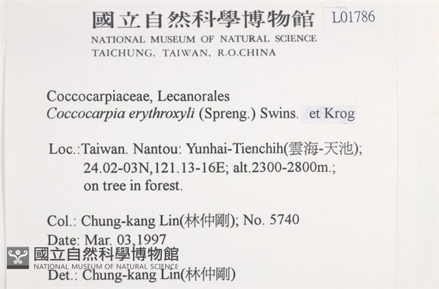 環紋瓦衣藏品圖，第2張