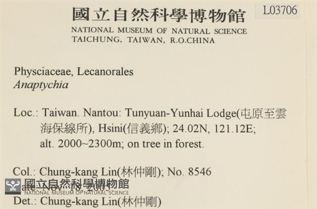 登錄號:L00003706藏品圖，第2張