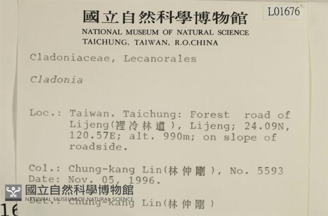 登錄號:L00001676藏品圖，第2張