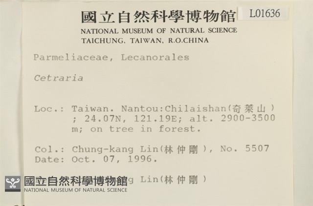 登錄號:L00001636藏品圖，第2張