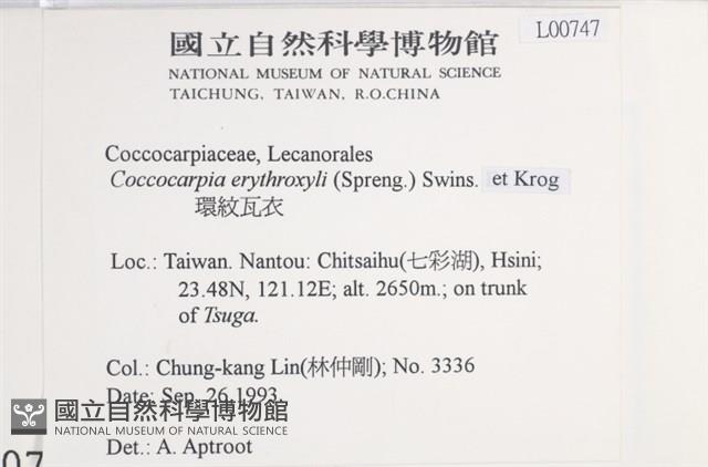 環紋瓦衣藏品圖，第2張