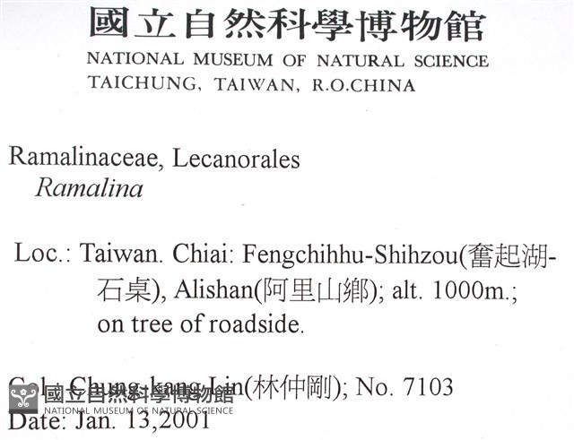 登錄號:L00002627藏品圖，第2張