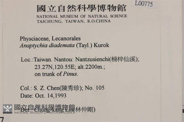 登錄號:L00000775藏品圖，第2張
