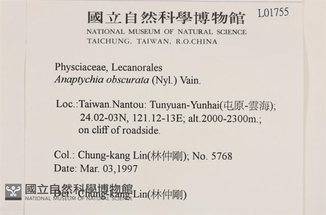 登錄號:L00001755藏品圖，第2張