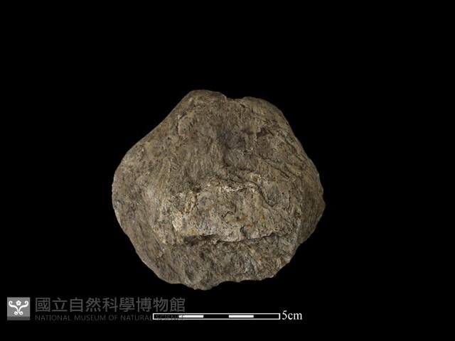 砍砸器藏品圖，第2張