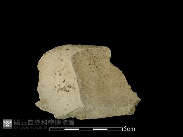 石片藏品圖，第2張