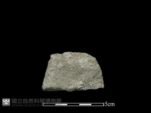 磨製斧鋤形器藏品圖，第1張