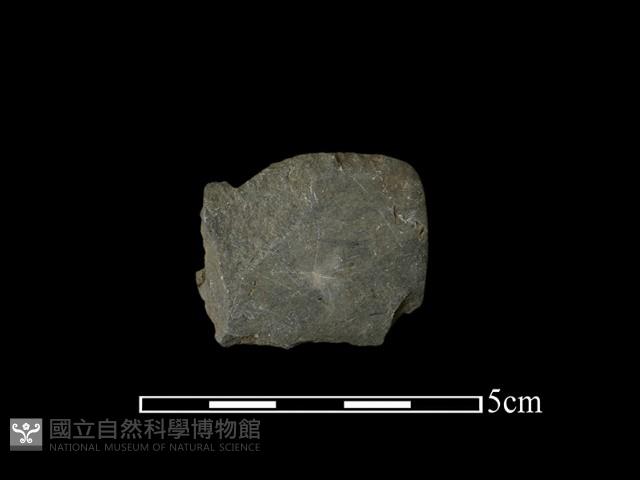 磨製石器藏品圖，第1張