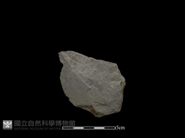 石片藏品圖，第1張