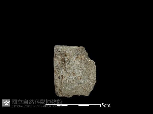 磨製斧鋤形器藏品圖，第2張