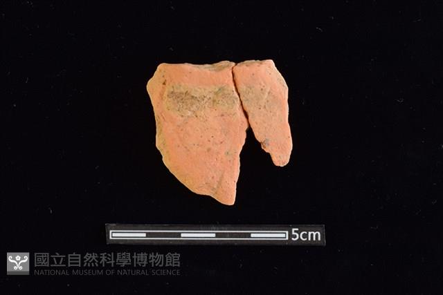 陶片藏品圖，第1張