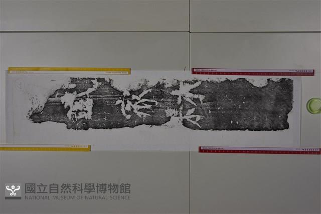 武梁祠畫像石拓片66藏品圖，第1張