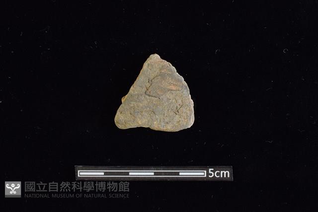 陶片藏品圖，第1張