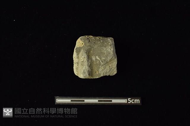 Accession Number:CAL109-BT001 Collection Image, Figure 1, Total 2 Figures