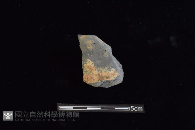 陶罐藏品圖，第1張