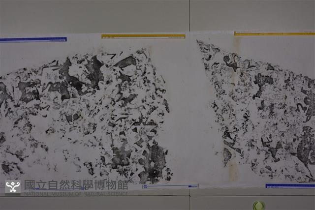 武梁祠畫像石拓片61藏品圖，第1張