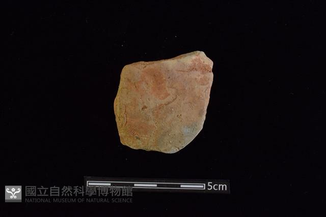 陶片藏品圖，第1張