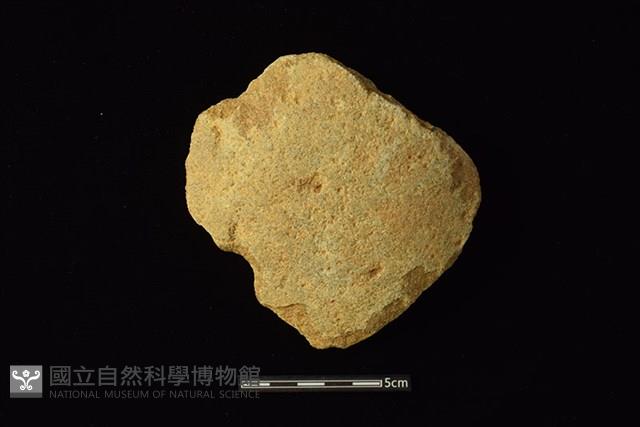 Accession Number:CAL109-ST003 Collection Image, Figure 1, Total 2 Figures