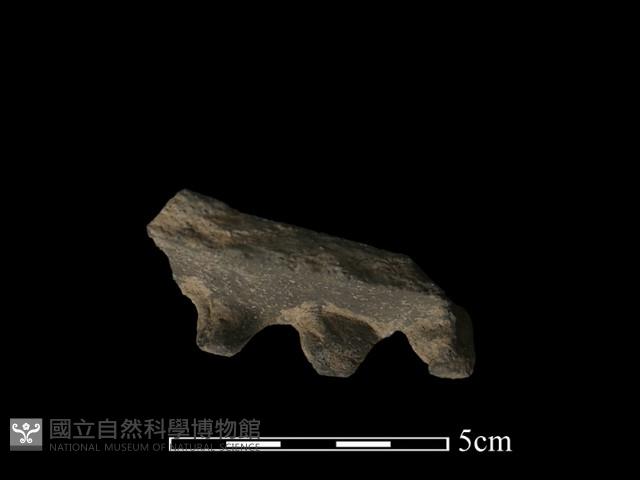 陶罐藏品圖，第4張