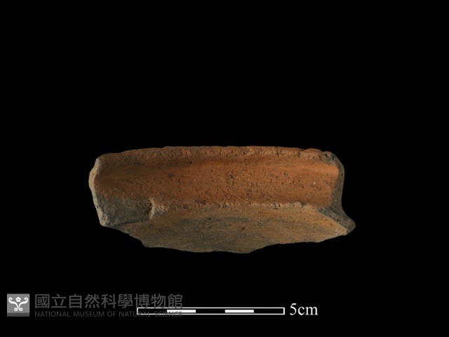 陶罐藏品圖，第4張