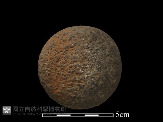 陶罐藏品圖，第4張