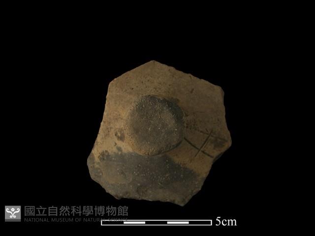 陶蓋藏品圖，第4張