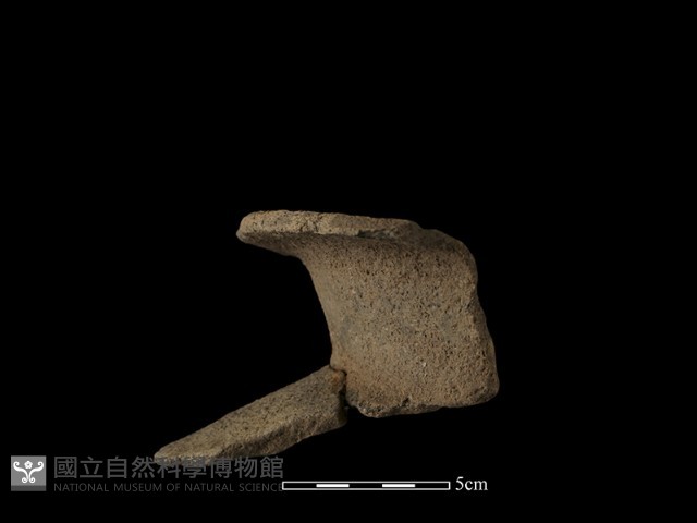 陶罐藏品圖，第5張