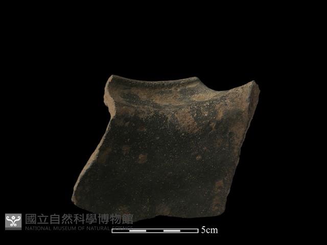 陶罐藏品圖，第5張