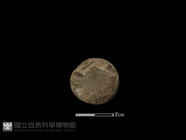 玦核藏品圖，第4張