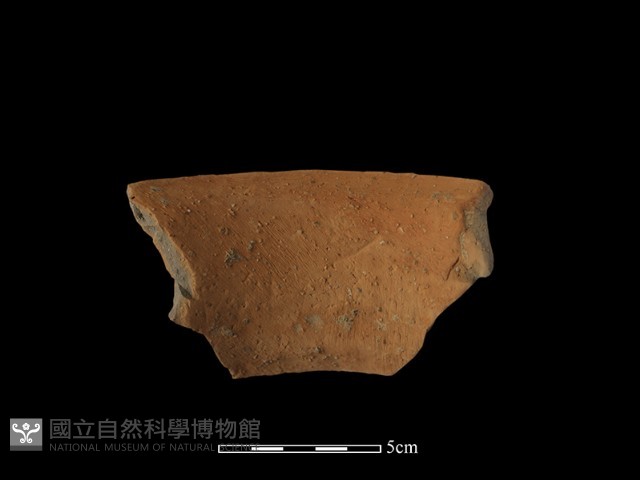陶罐藏品圖，第1張