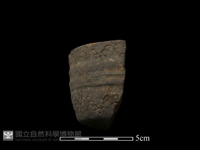 陶罐藏品圖，第4張