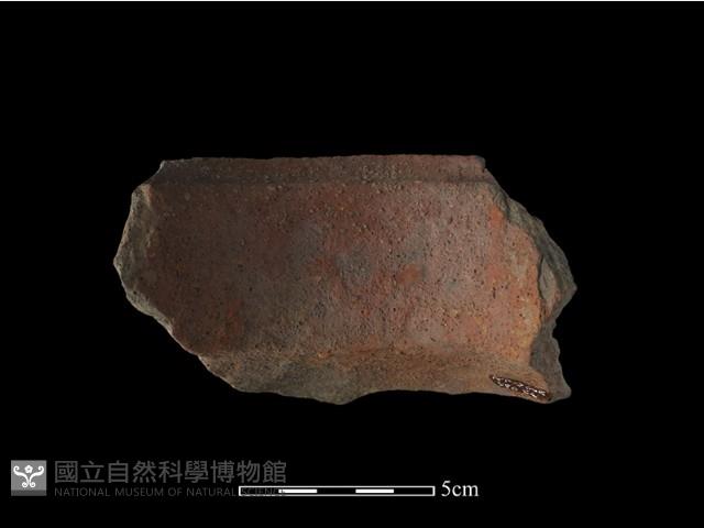 陶罐藏品圖，第4張