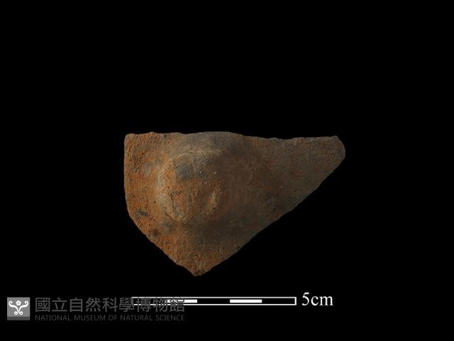 陶蓋鈕藏品圖，第4張