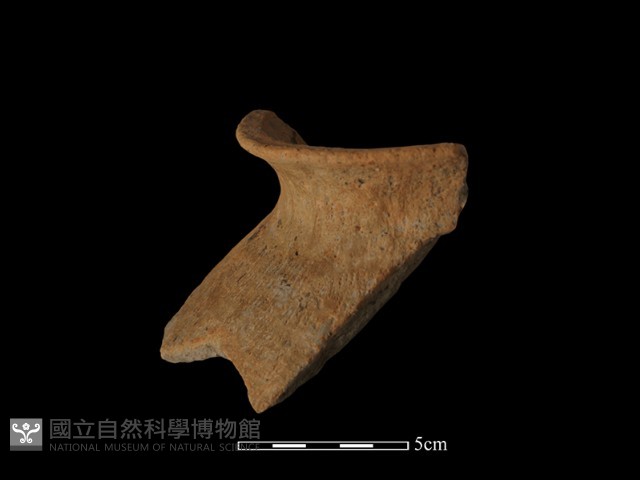 陶罐藏品圖，第4張