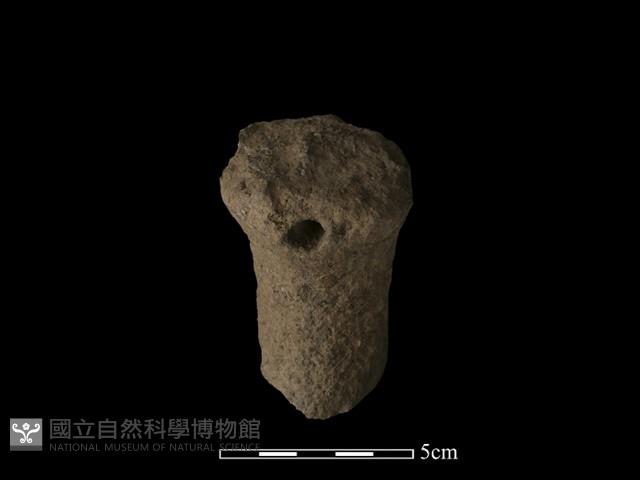 獸足藏品圖，第1張