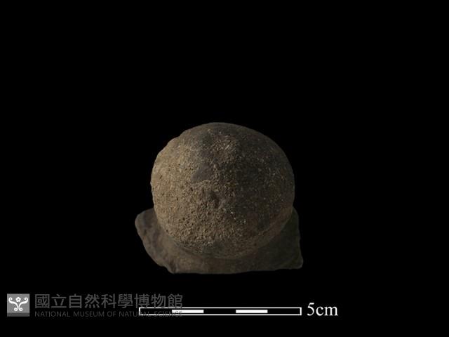 陶蓋鈕藏品圖，第4張