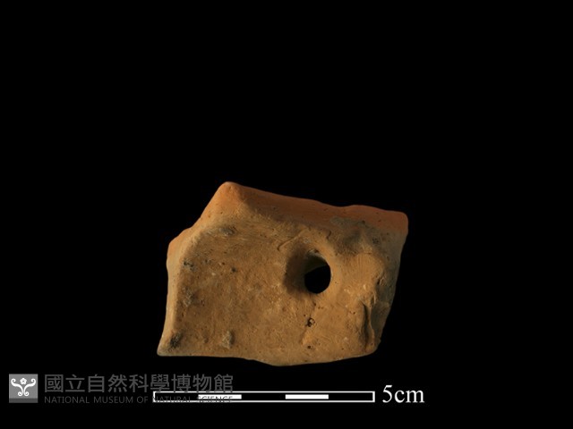 陶片藏品圖，第1張