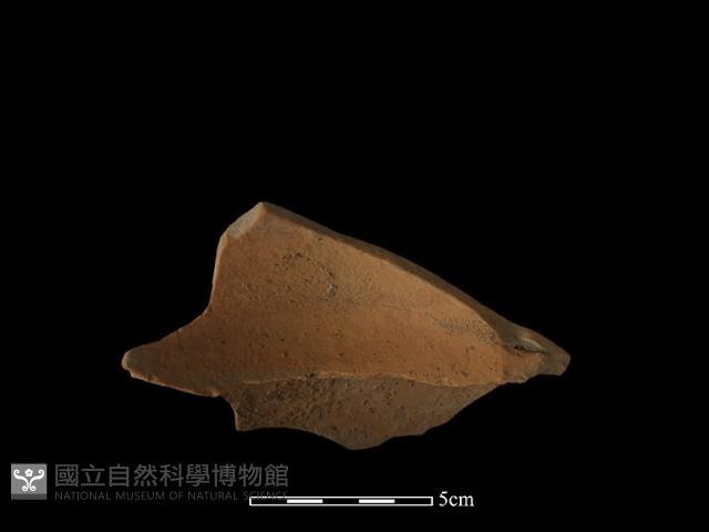 陶片藏品圖，第4張