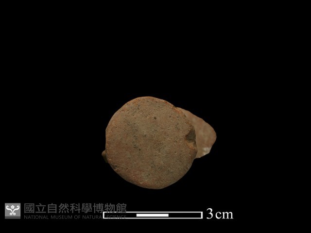 陶蓋鈕藏品圖，第4張