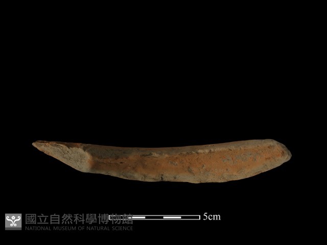 陶罐藏品圖，第4張
