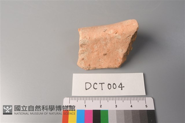 陶片藏品圖，第4張