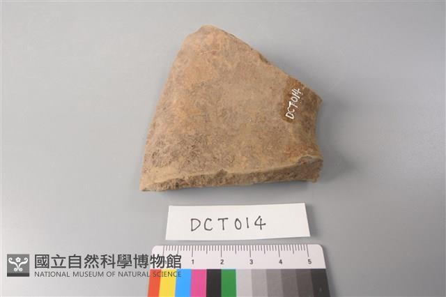 陶片藏品圖，第4張